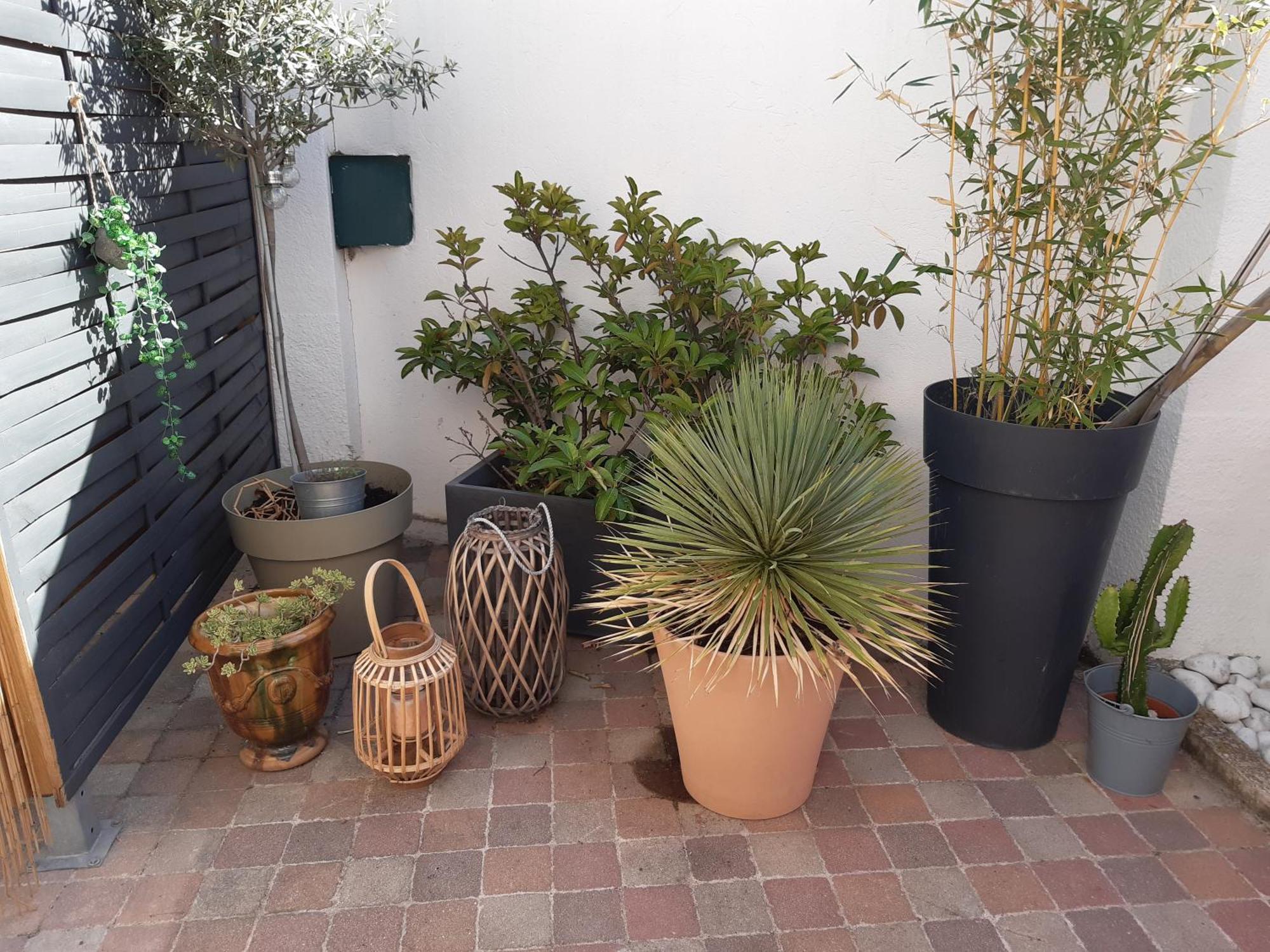 Grand Studio Avec Patio Marsella Exterior foto